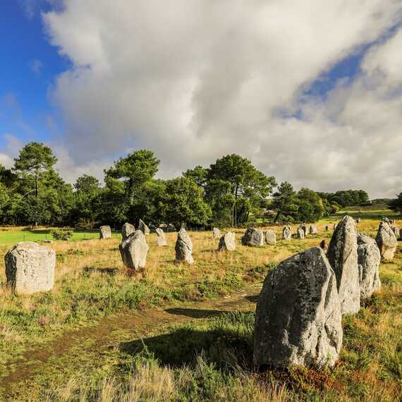 Découverte des alignements de Carnac et des grands sites mégalithiques