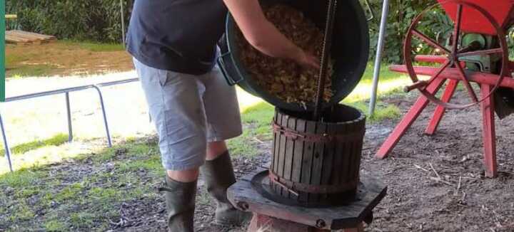 Atelier pressage de pommes