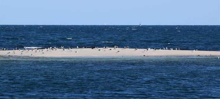 La pointe de Conguel : un site naturel unique ouvert sur l’océan